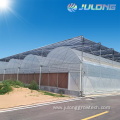 Hot sale low cost high quality mushroom greenhouse